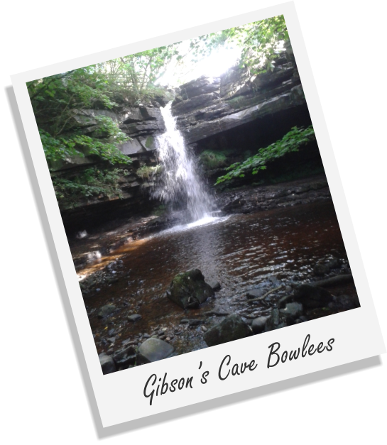 Gibson’s Cave Bowlees