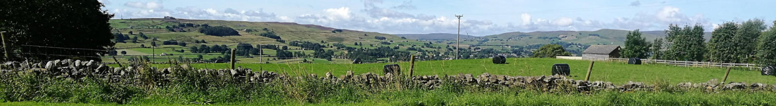 Teesdale View